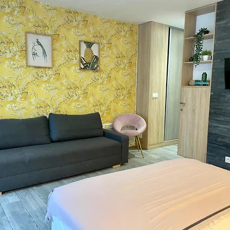 Large Dans Le 13eme Appartamento Parigi